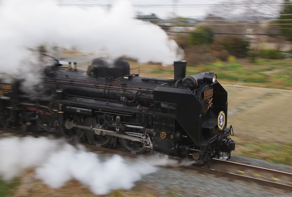 秩父鉄道 蒸気機関車 C58-363 正月特別運行記録